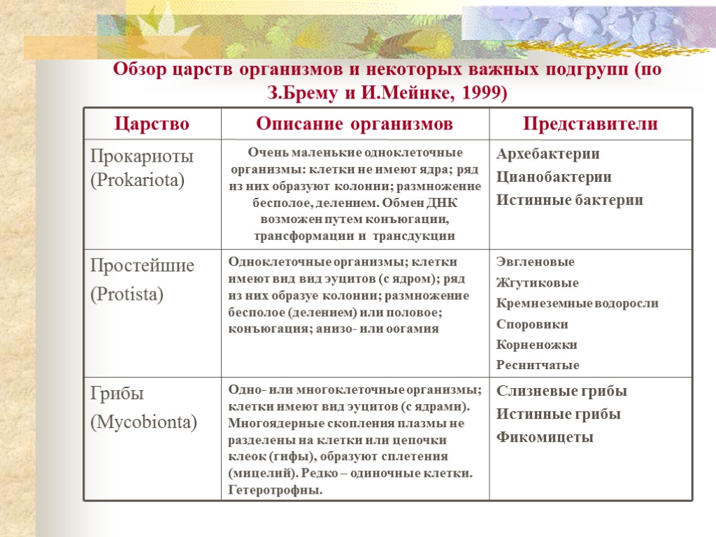 Обзор царств организмов и некоторых важных подгрупп (по З.Брему и И.Мейнке, 1999)‏